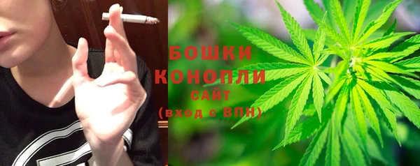 мдпв Михайлов