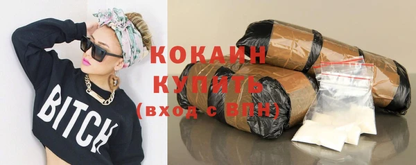 мдпв Михайловск