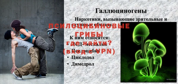 PSILOCYBIN Михайловка