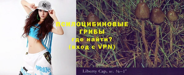 мдпв Михайлов
