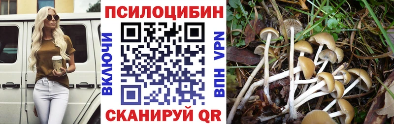 Псилоцибиновые грибы Cubensis  Купить где  Чернушка 