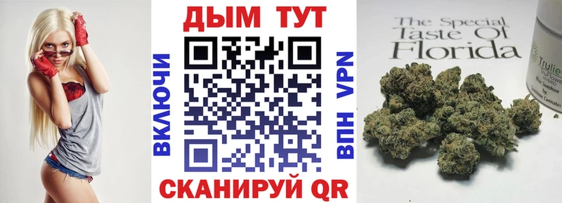 МАРИХУАНА план  Купить  Чернушка 